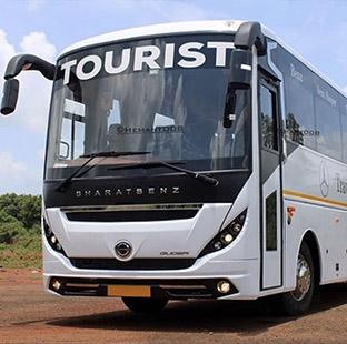 bus